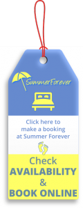 Bookings_SummerForever